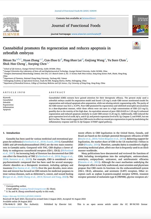 Research Paper Published: Cannabidiol promotes fin regeneration and reduces apoptosis in zebrafish embryos 